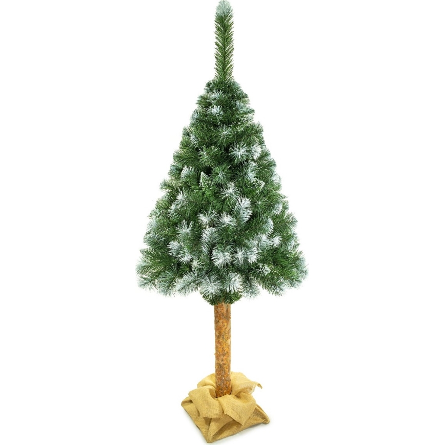 Božićno drvce na deblu 180 cm bor