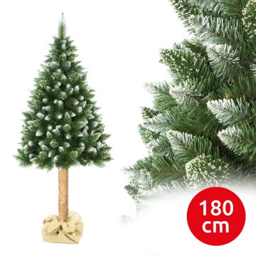 Božićno drvce na deblu 180 cm bor
