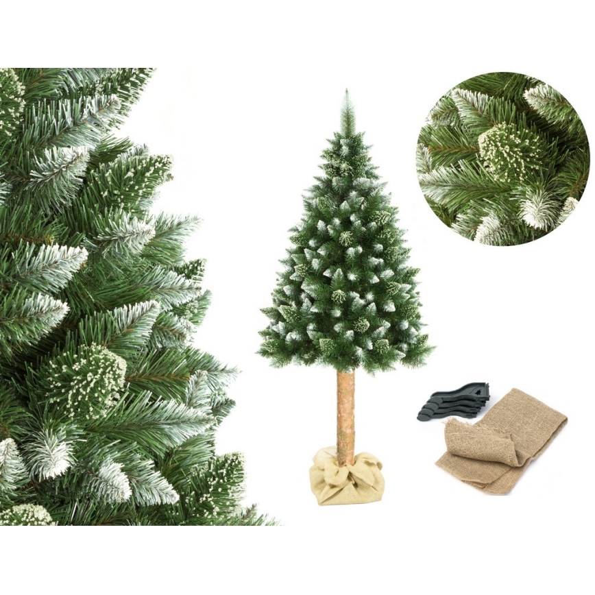 Božićno drvce na deblu 180 cm bor