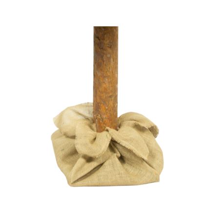 Božićno drvce na deblu 180 cm bor