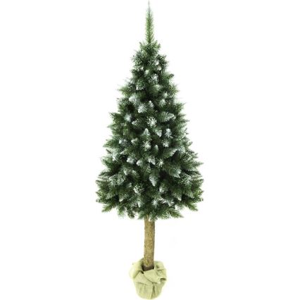 Božićno drvce na deblu 180 cm jela