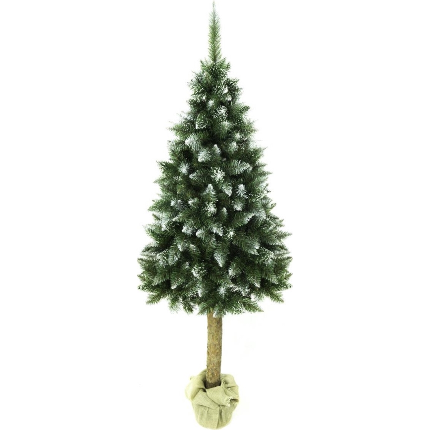 Božićno drvce na deblu 180 cm jela