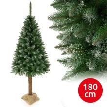 Božićno drvce na deblu 180 cm smreka