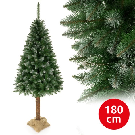 Božićno drvce na deblu 180 cm smreka