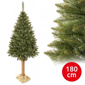 Božićno drvce na deblu 180 cm smreka