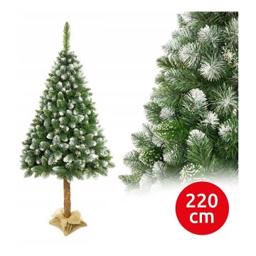 Božićno drvce na deblu 220 cm bor