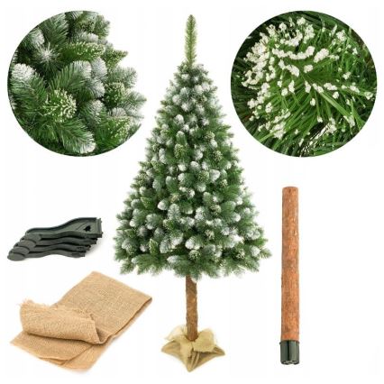 Božićno drvce na deblu 220 cm bor