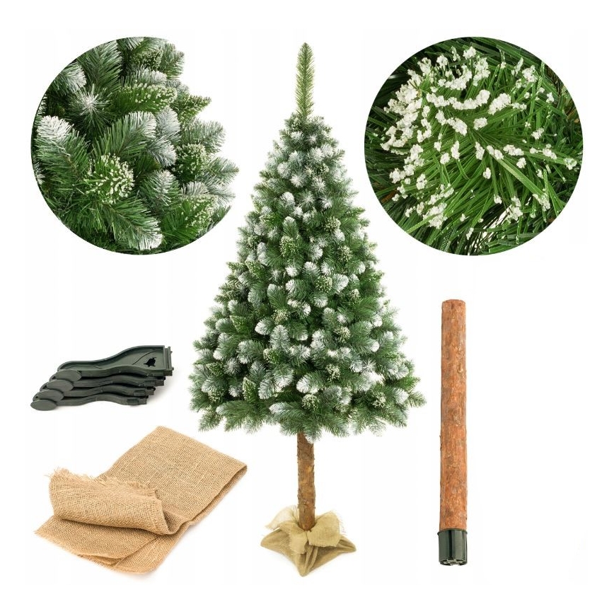 Božićno drvce na deblu 220 cm bor