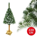 Božićno drvce na deblu 220 cm bor
