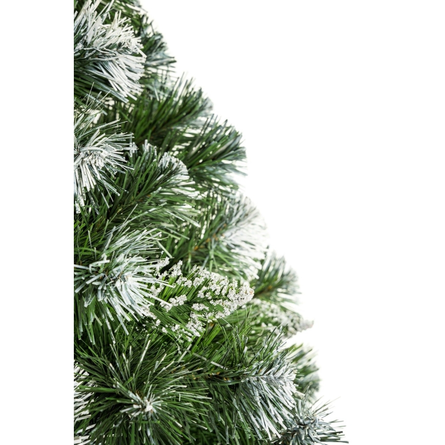 Božićno drvce na deblu 220 cm bor