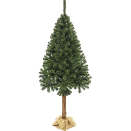 Božićno drvce na deblu 220 cm jela