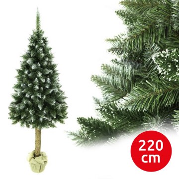 Božićno drvce na deblu 220 cm jela