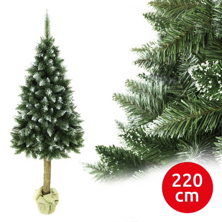 Božićno drvce na deblu 220 cm jela