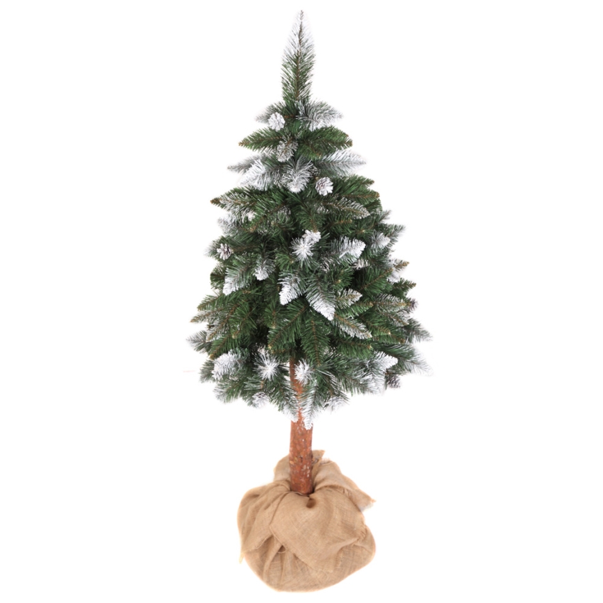 Božićno drvce PIN 180 cm bor