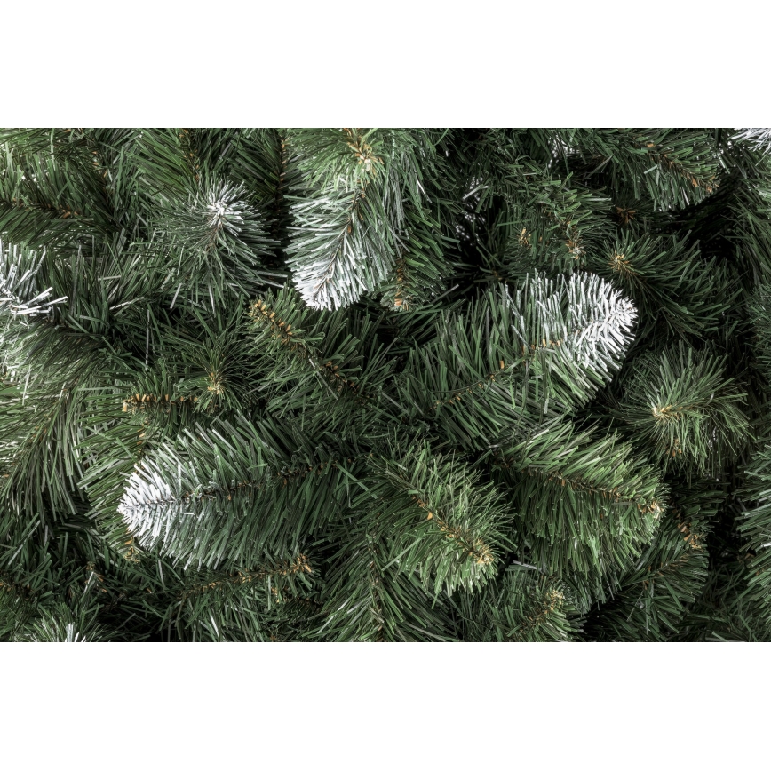 Božićno drvce POLA 180 cm bor