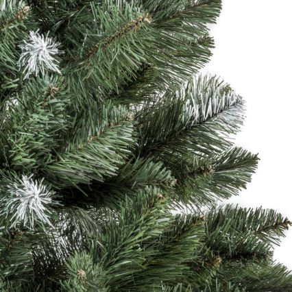 Božićno drvce POLA 220 cm bor