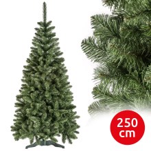 Božićno drvce POLA 250 cm bor