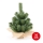 Božićno drvce XMAS TREES 30 cm bor