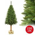 Božićno stablo na deblu 220 cm smreka