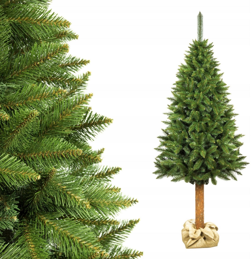 Božićno stablo na deblu 220 cm smreka
