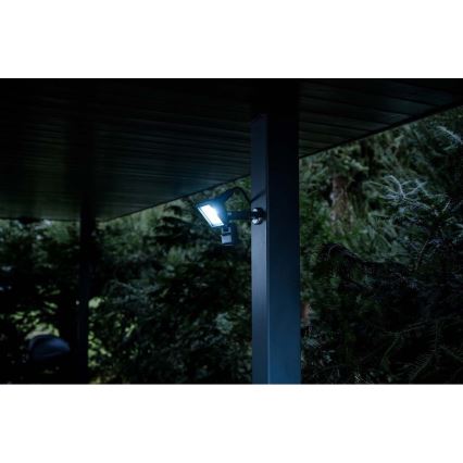 Brennenstuhl - LED Vanjski reflektor sa senzorom LED/10W/230V 6500K IP65