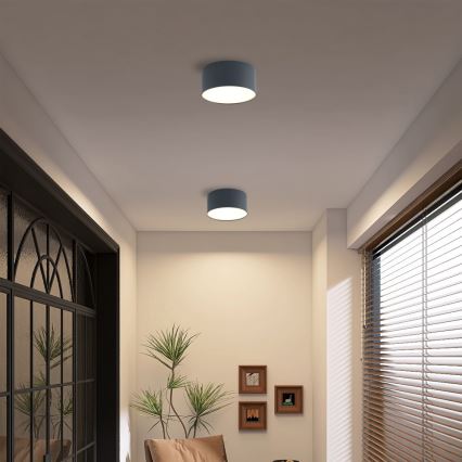 Brilagi - LED stropno svjetlo za kupaonicu FORIS LED/14W/230V Ø 12 cm antracit IP44