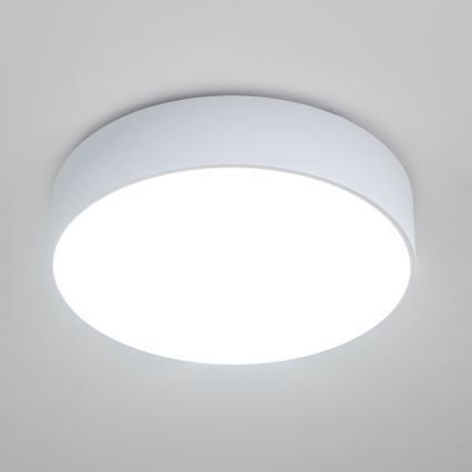 Brilagi - Kupaonska stropna svjetiljka POOL 4xE27/15W/230V Ø 50 cm IP54 bijela