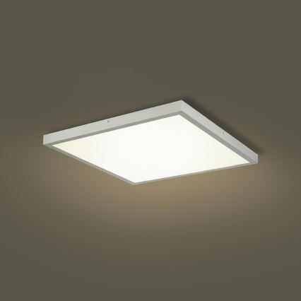 Brilagi - LED stropna svjetiljka za kupaonicu FRAME LED/50W/230V 3000/4000/6000K 60x60 cm IP44 srebrna