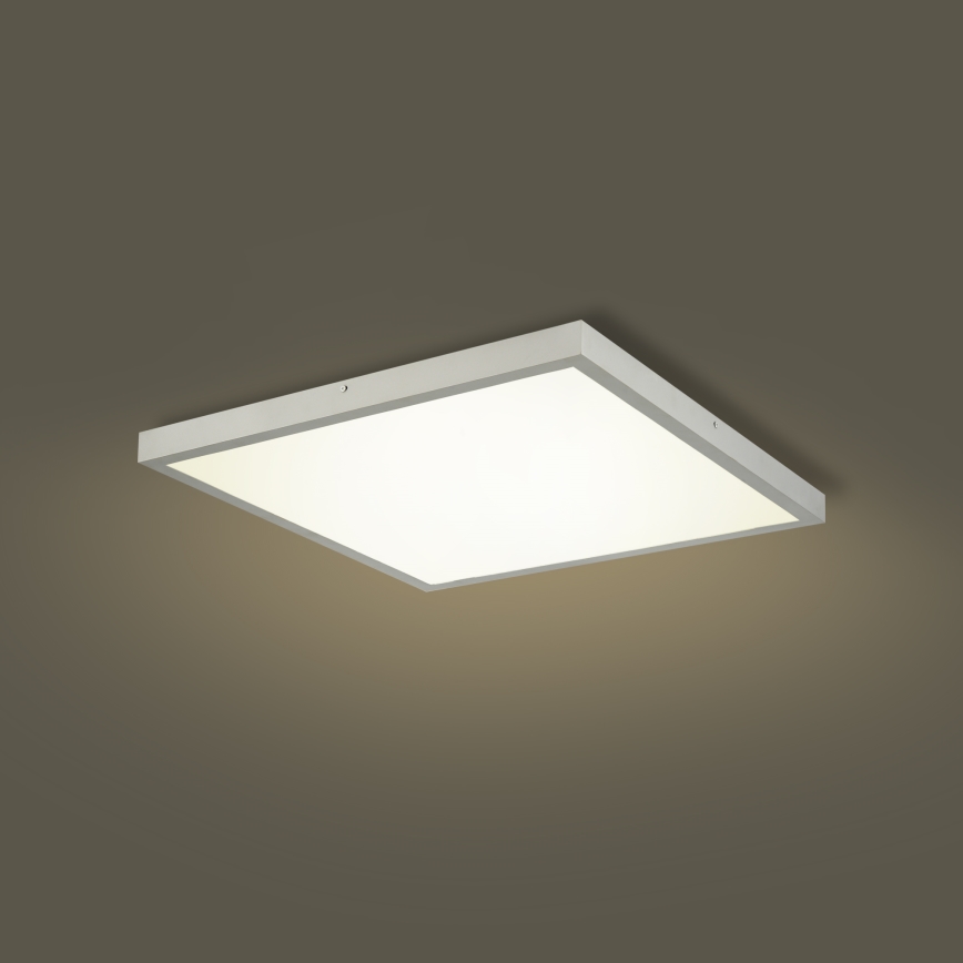 Brilagi - LED stropna svjetiljka za kupaonicu FRAME LED/50W/230V 3000/4000/6000K 60x60 cm IP44 srebrna