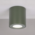 BRILAGI - Kupaonsko spot svjetlo MIA 1xGU10/30W/230V 60x82 mm 84x80 mm tamnozeleno IP54