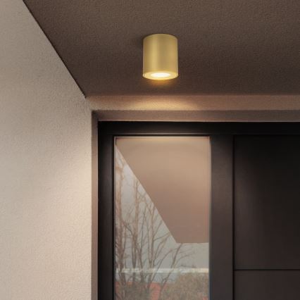 Brilagi - Kupaonsko spot svjetlo MIA 1xGU10/30W/230V 84x80 mm zlatno IP54