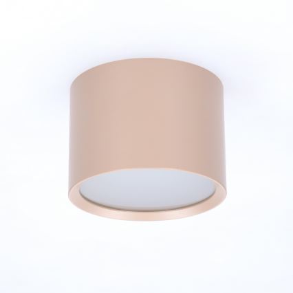 BRILAGI - Kupaonsko spot svjetlo SMOOTH 1xGX53/15W/230V 60x82 mm bež IP54