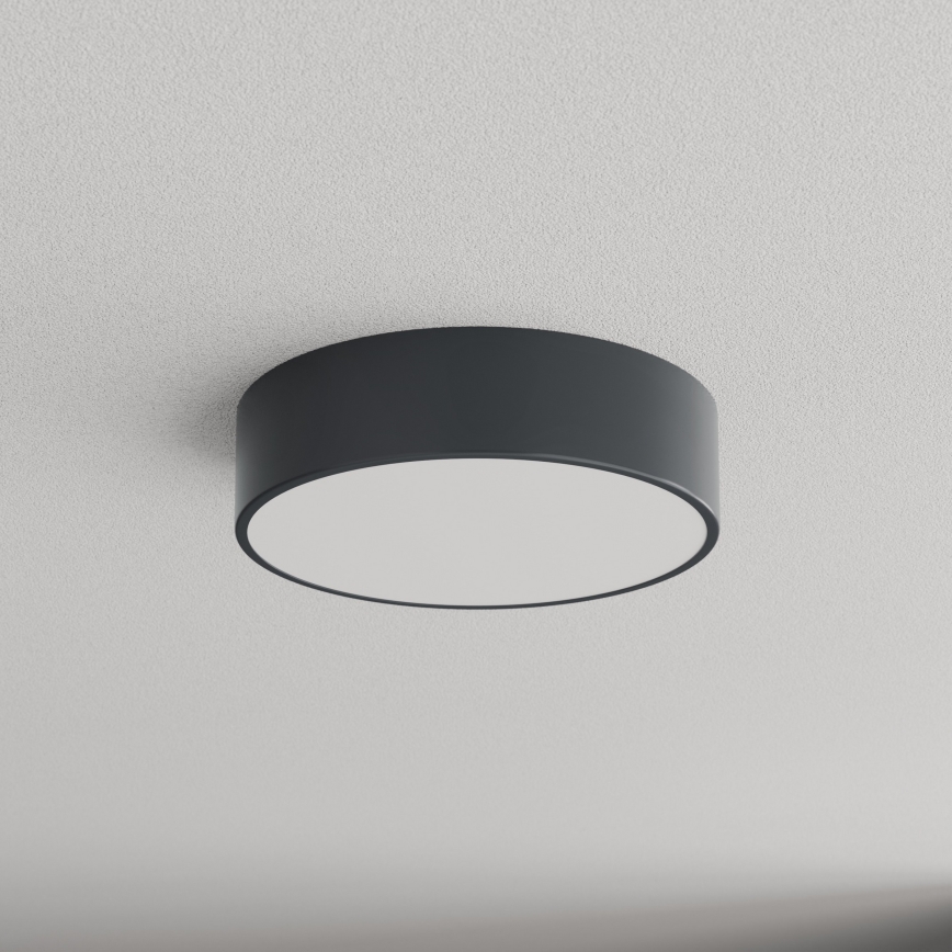 Brilagi - Stropno svjetlo za kupaonicu CLARE 2xE27/24W/230V promjer 30 cm antracit IP54