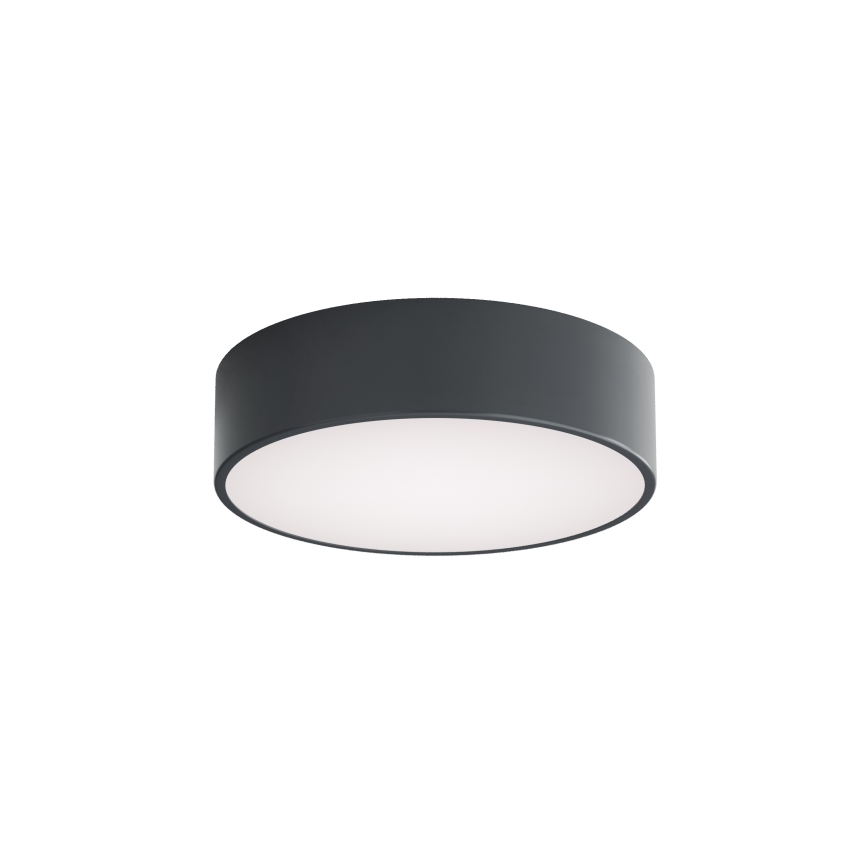 Brilagi - Stropno svjetlo za kupaonicu CLARE 2xE27/24W/230V promjer 30 cm antracit IP54