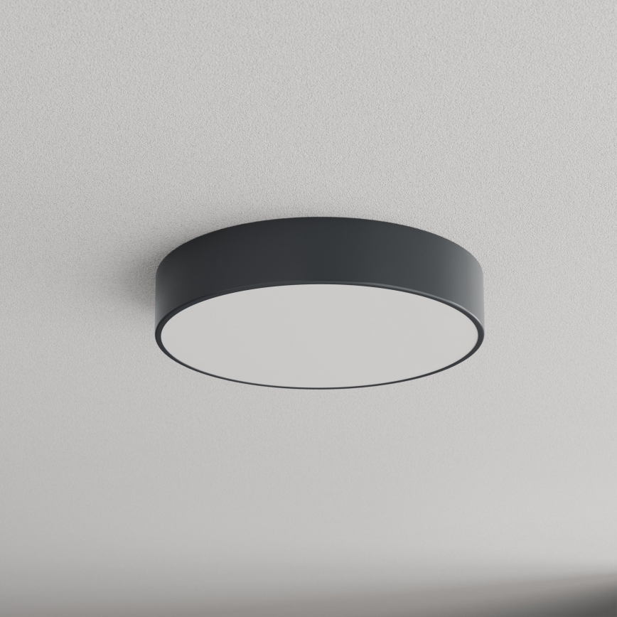 Brilagi - Stropno svjetlo za kupaonicu CLARE 3xE27/24W/230V, promjer 40 cm, antracit, IP54