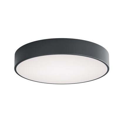 Brilagi - Kupaonsko stropno svjetlo CLARE 4xE27/24W/230V Ø 50 cm antracit IP54