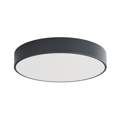 Brilagi - Kupaonsko stropno svjetlo CLARE 4xE27/24W/230V Ø 50 cm antracit IP54
