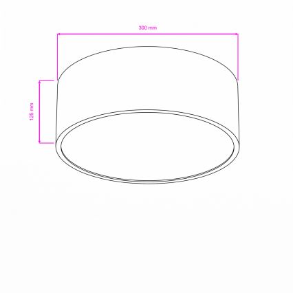 Brilagi - Kupaonsko stropno svjetlo POOL 2xE27/15W/230V promjer 30 cm IP54 crno