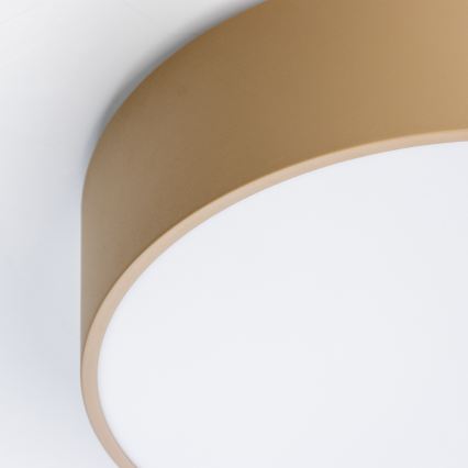 Brilagi - Kupaonsko stropno svjetlo POOL 3xE27/15W/230V Ø 40 cm IP54 bež