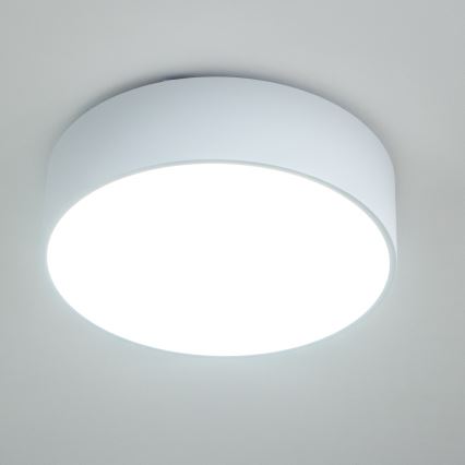 Brilagi - Kupaonsko stropno svjetlo POOL 3xE27/15W/230V Ø 40 cm IP54 bijela