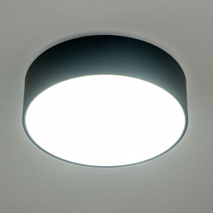 Brilagi - Kupaonsko stropno svjetlo POOL 3xE27/15W/230V Ø 40 cm IP54 crno