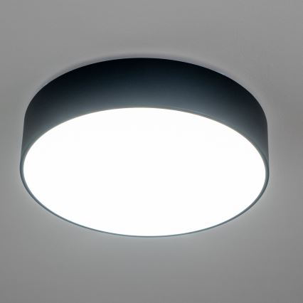 Brilagi - Kupaonsko stropno svjetlo POOL 4xE27/15W/230V Ø 50 cm IP54 crno