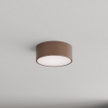 Brilagi - Kupaonsko stropno svjetlo s senzorom pokreta i sumraka CLARE 1xE27/24W/230V Ø 20 cm smeđa IP54