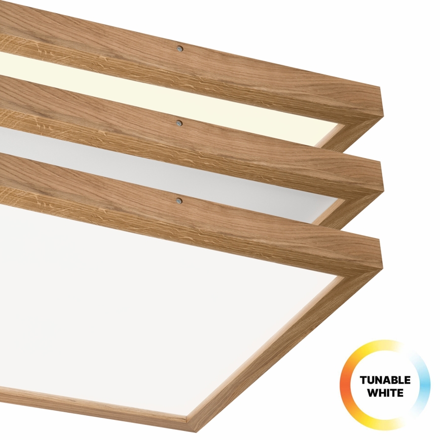 Brilagi - LED stropna svjetiljka za kupaonicu s prigušivanjem WOODY FRAME LED/50W/230V hrast 60x60 cm 3000-6000K IP44 + daljinski upravljač