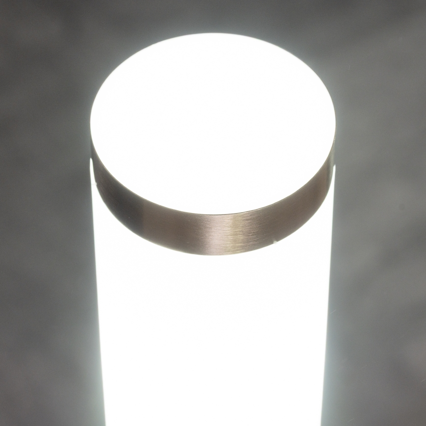 BRILAGI - LED vanjska zidna svjetiljka ELIA s mogućnošću prigušivanja 1xE27/6W/230V 2700-6500K IP44 matni krom