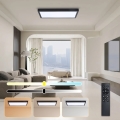 Brilagi - LED Dimmable kupaonsko stropno svjetlo FRAME SMART LED/30W/230V 30x60 cm 3000-6000K crna + daljinski upravljač