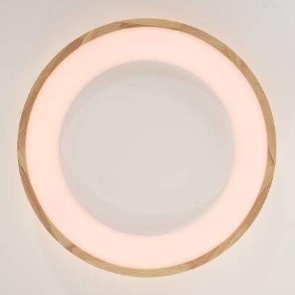 Brilagi - LED stropna svjetiljka FALCON WOOD LED/40W/230V 3000/4000/6000K promjer 60 cm drvo