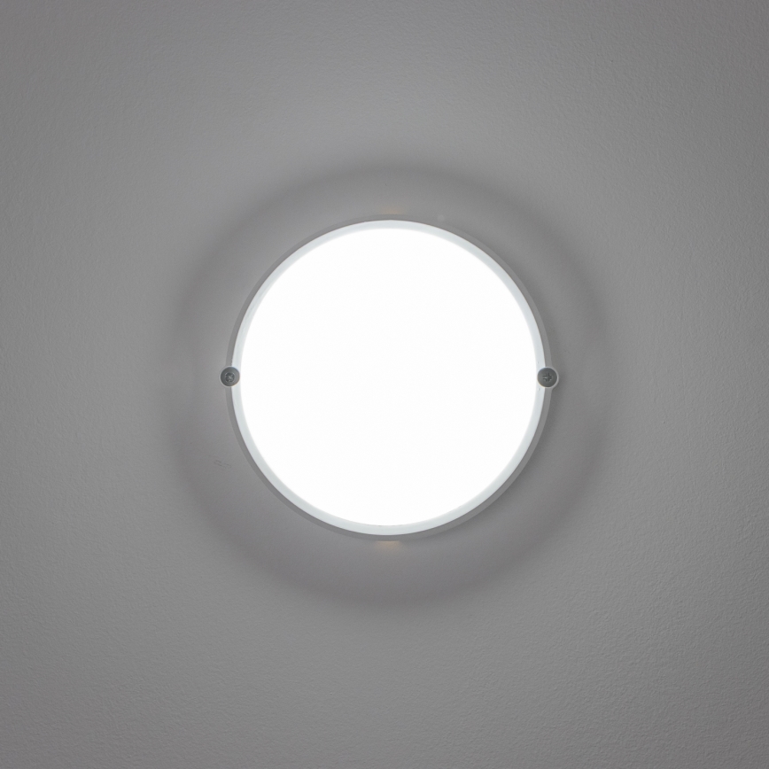 Brilagi - LED Industrijska stropna svjetiljka SIMA LED/12W/230V IP65 bijela