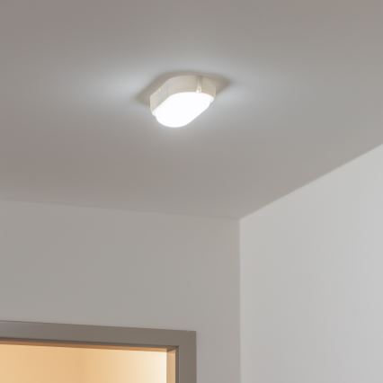 Brilagi - LED Industrijska stropna svjetiljka SIMA LED/12W/230V IP65 bijela