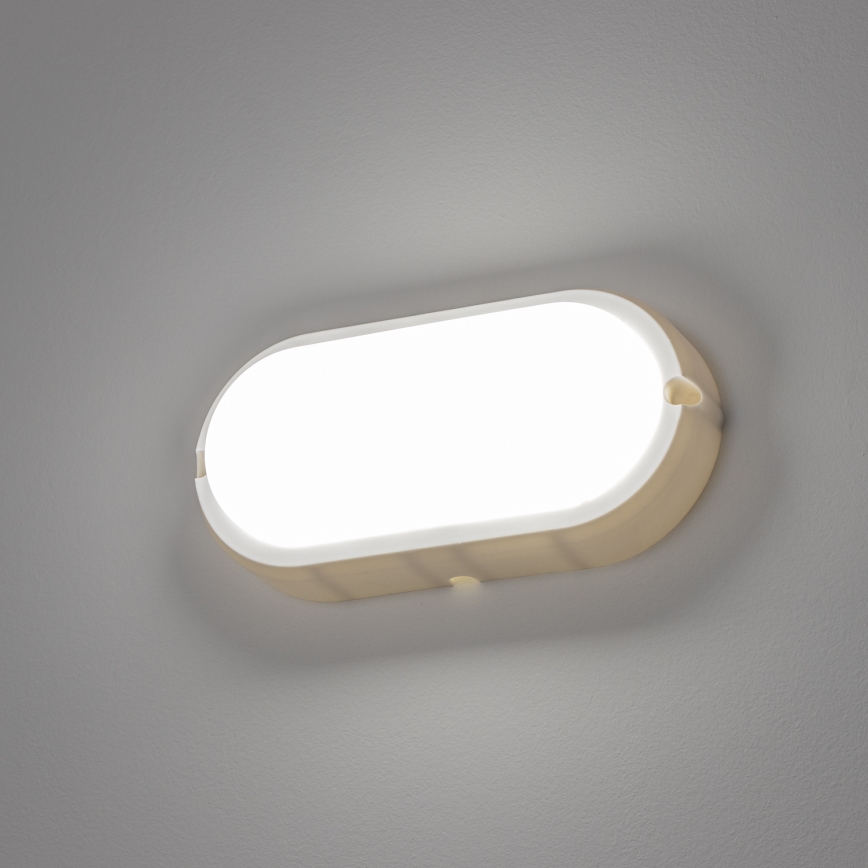 Brilagi - LED Industrijska stropna svjetiljka SIMA LED/12W/230V IP65 bijela